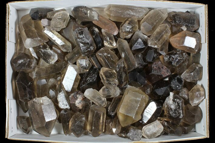 Lot: Lbs Smoky Quartz Crystals (-) - Brazil #77843